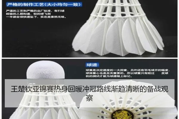 王楚钦亚锦赛热身回暖冲冠路线渐趋清晰的备战观察